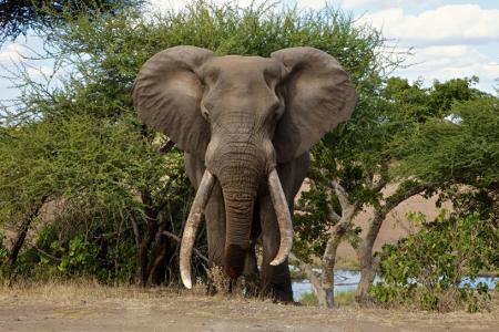 VIAJE A AFRICA - SUDAFRICA